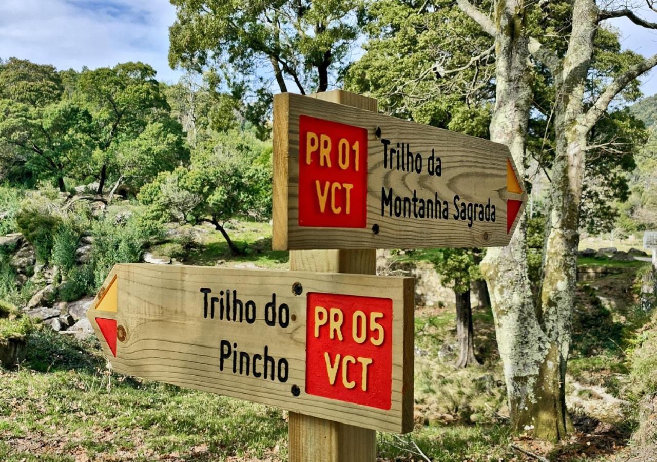 O Sossego Da Montaria Villa Viana do Castelo Luaran gambar